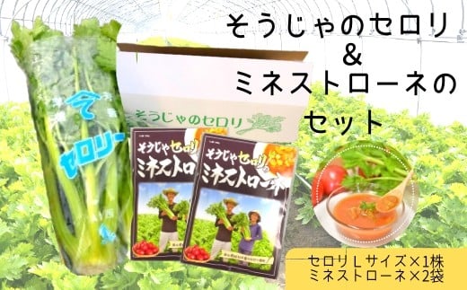 岡山県総社市のふるさと納税で選べるお礼の品一覧 ふるさとチョイス