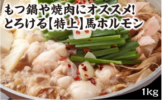 貴重な【国産】熊本の馬ホルモン!