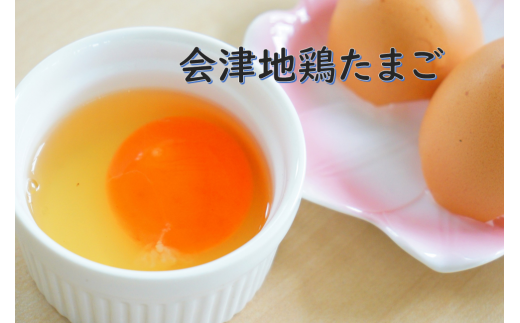 会津地鶏卵定期便（1箱20個）5ヶ月間 579407 - 福島県喜多方市
