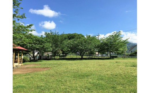 寄七つ星ドッグラン カフェ 入園券 ドリンク券セット 神奈川県松田町 ふるさと納税 ふるさとチョイス