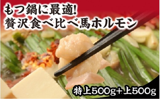 貴重な【国産】熊本の馬ホルモン!