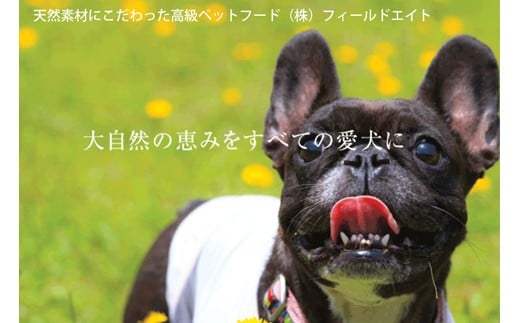 B-192 犬のおやつ 小袋5点セット 514425 - 兵庫県三木市