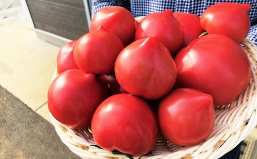 地元で大人気の大玉トマト！