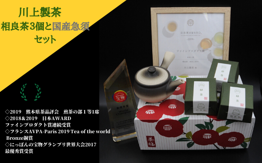 川上製茶 相良茶3個と国産急須のセット   803627 - 熊本県相良村