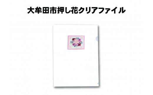 大牟田市押し花クリアファイル　※画像はイメージ　※花の種類は異なる可能性があります