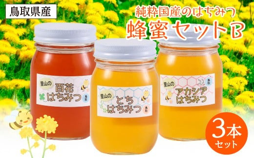 0162 蜂蜜セットB 476488 - 鳥取県鳥取市