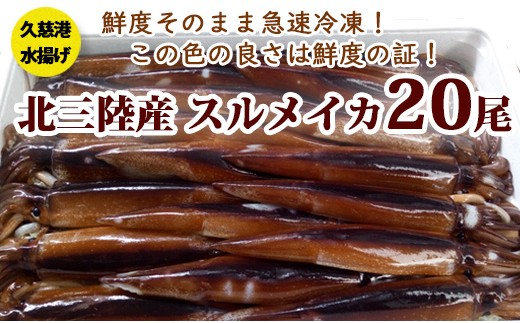 三陸の生イカ杯 急速冷凍 久慈市久慈市 ふるさと納税 ふるさとチョイス