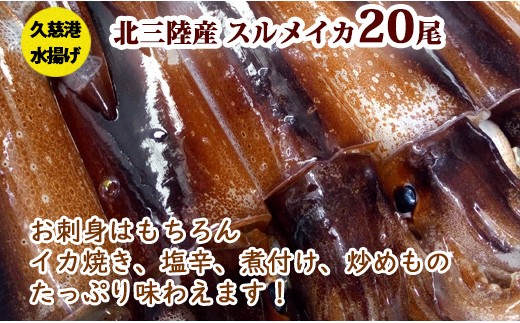 三陸の生イカ杯 急速冷凍 岩手県久慈市 ふるさと納税 ふるさとチョイス