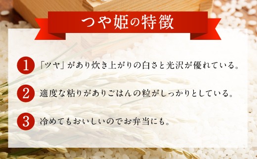 大分県 豊後大野市産 つや姫 ジオ蔵出し色選米 特別栽培米 10kg (5kg×2袋) 米 精米