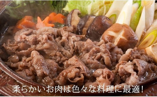 佐賀産和牛切り落とし 1 000g すき焼き キャンプ飯 牛丼 佐賀県小城市 ふるさと納税 ふるさとチョイス