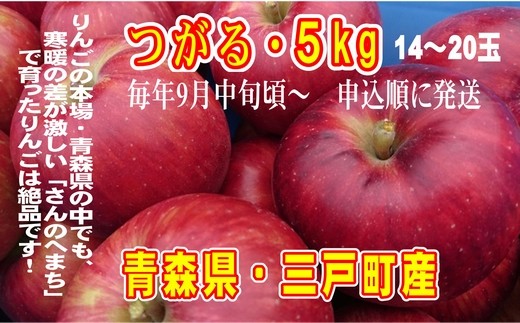 りんご つがる 14 玉 約5kg 21年産 先行受付分 青森県三戸町 ふるさと納税 ふるさとチョイス