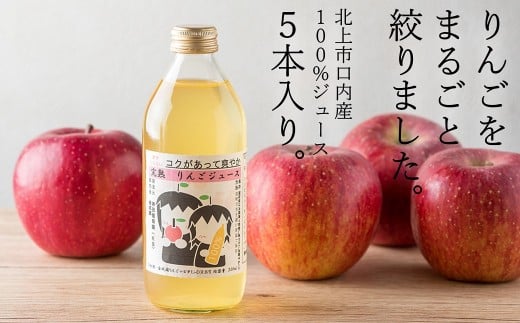 果汁100％　リンゴジュース　（350ml×5本） 378493 - 岩手県北上市