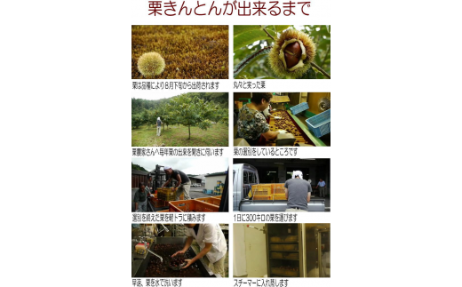 栗きんとん入り市田柿 栗柿 15個入り 岐阜県中津川市 ふるさと納税 ふるさとチョイス