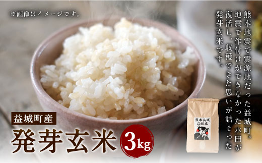 発芽玄米 3kg 玄米 ヒノヒカリ お米 小分け 熊本県益城町 ふるさと納税 ふるさとチョイス