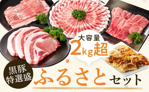 B02080 黒豚ふるさとセット(合計約2.3kg)黒豚餃子(12個入)付き【和田養豚】