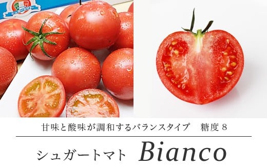 【順次配送】シュガートマト ビアンコ08（糖度8度以上） 1kg 高糖度 フルーツトマト