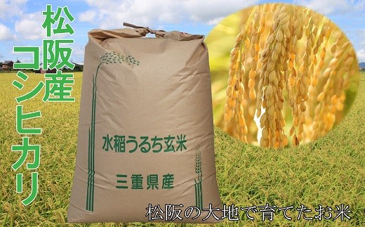 【1-155】松阪産コシヒカリ玄米　10kg