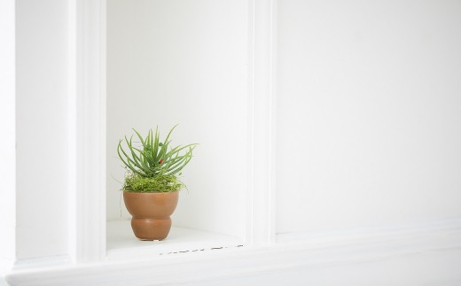 【空気をきれいにするアートフラワー】　観葉植物　小