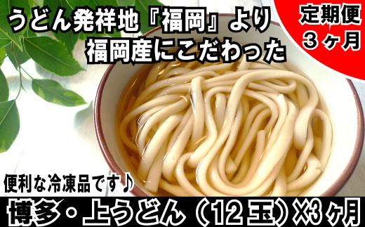 C057 福岡 博多上うどん１２玉入 便利な冷凍うどん 定期便 全3回 福岡県新宮町 ふるさと納税 ふるさとチョイス