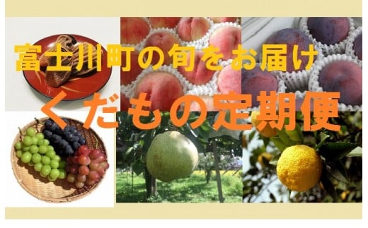 E12果物王国やまなし くだもの定期便 年６回 山梨県富士川町 ふるさと納税 ふるさとチョイス