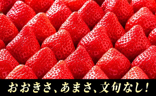 Ar003 1 先行予約 福岡育ち あまおういちご 約270g 4パック 22年2 3月発送 福岡県大木町 ふるさと納税 ふるさとチョイス