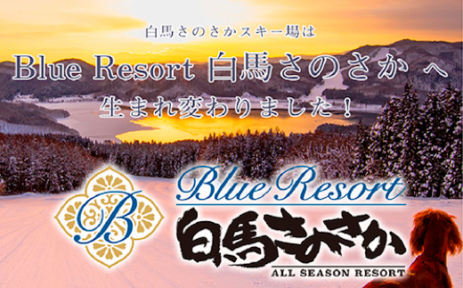 B014-04 BlueResort白馬さのさかリフト券　大人1日券
