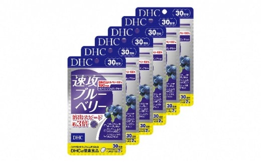 DHC  ブルーベリーエキス(20日分)×13袋