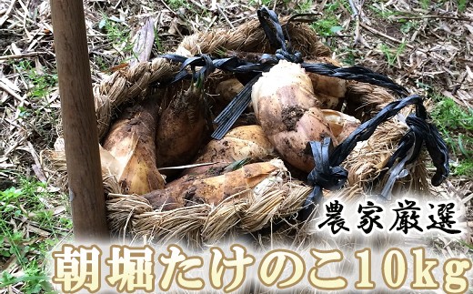 Y03-2 農家厳選「朝堀たけのこ」 10Kg予約