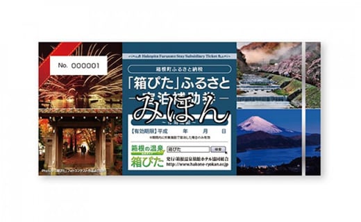 箱根町 箱ぴたふるさと宿泊補助券 神奈川県箱根町 ふるさと納税 ふるさとチョイス