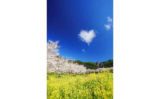 005 007 12枚組ポストカードセット2冊セット 信州上田癒しの風景 信州の絶景パワースポット 長野県上田市 ふるさと納税 ふるさとチョイス