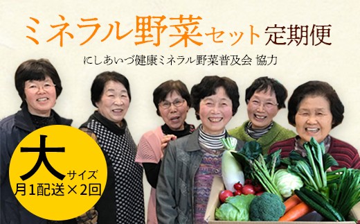 西会津ミネラル野菜セット定期便（大）2回 F4D-0733 584236 - 福島県西会津町