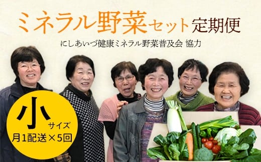 西会津ミネラル野菜セット定期便（小）5回 F4D-0738 584240 - 福島県西会津町