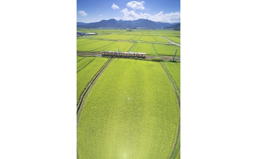 9 別所線のさなだどりーむ号の俯瞰パノラマと独鈷山 (塩田平,舞田)8月撮影