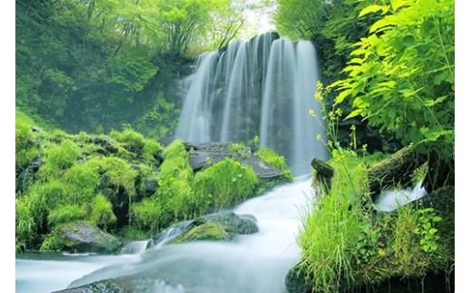 １３　新緑の唐沢の滝（菅平高原）6月撮影