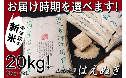 21年2月上旬配送 年産 たっぷり新米kg 清流寒河江川育ち 山形産はえぬき 令和2年産米 018 C02 02上 山形県寒河江市 ふるさと納税 ふるさとチョイス