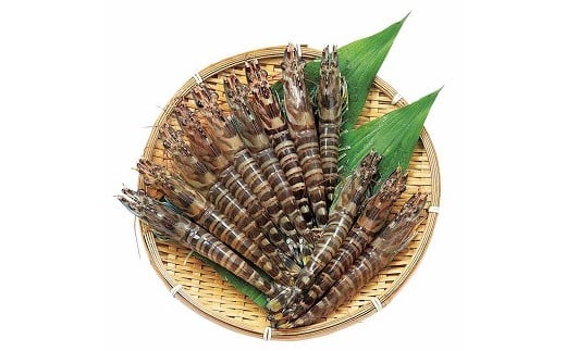 ※画像はイメージです