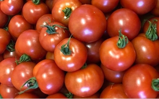 大型ハウスで栽培された真っ赤に熟れたトマト（画像はイメージです）