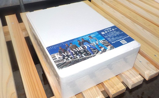鏡オイスター（加熱調理用） 約3kg（マガキ・殻付き）牡蠣 かき