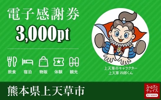 観光 食事などに使える 上天草市 電子感謝券 3 000ポイント 熊本県上天草市 ふるさと納税 ふるさとチョイス