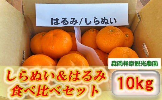 M-BD15.【予約受付中！】しらぬい＆はるみ 食べ比べセット 10kg 759074 - 奈良県桜井市