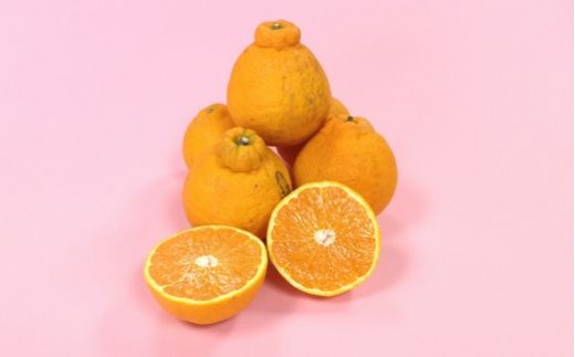 皮に傷やヤケなどがあり、外観は良くないですが、中身はおいしい不知火です