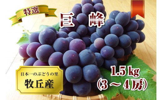 2403 銀河農園まきおかの甘くてジューシーな巨峰 種なし 1 5 山梨県山梨市 ふるさと納税 ふるさとチョイス