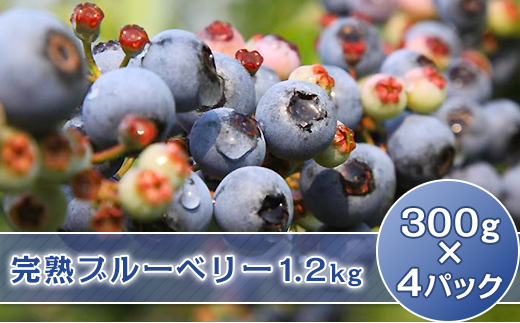 33-02完熟ブルーベリー1.2kg（300g×4パック）