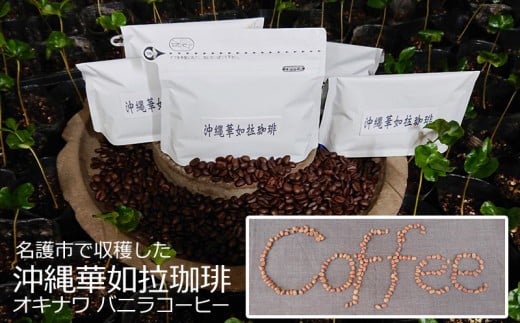 【100%名護市産】コーヒー（粉）100g×2袋 808531 - 沖縄県名護市