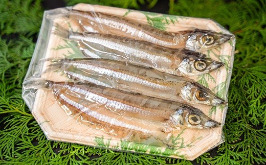 深海魚と白身魚の干物 5パックセット H006 014 愛知県碧南市 ふるさと納税 ふるさとチョイス