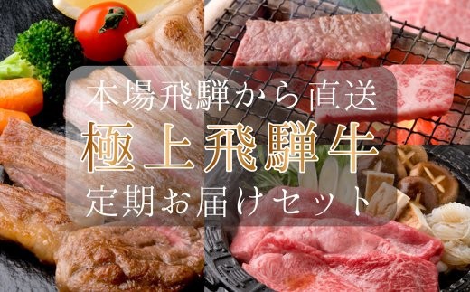 【定期便５回】本場！飛騨直送！！極上飛騨牛セット　【冷凍】焼肉・ステーキ・すき焼き・しゃぶしゃぶ 肉 定期【11-G】