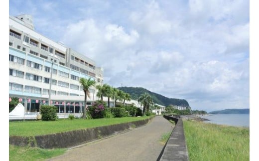 1泊2食付宿泊券 指宿シーサイドホテル 1名様分 鹿児島県指宿市 ふるさと納税 ふるさとチョイス