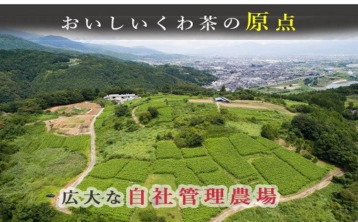 桑×抹茶・健康茶・飲むサラダ・青汁 10包×6袋[5839-1196] - 山梨県市川