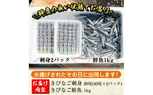 Akune 2 3 鹿児島県阿久根産 天然きびなごのお刺身と鮮魚セット 刺身80尾 40尾 2パック きびなご鮮魚1kg 濱崎魚類 2 3 鹿児島県阿久根市 ふるさと納税 ふるさとチョイス