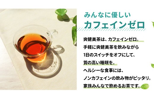 爽健美茶 600mlPET　2ケース